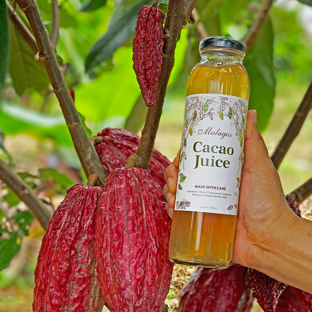 New! Malagos Cacao Juiceš„¤
